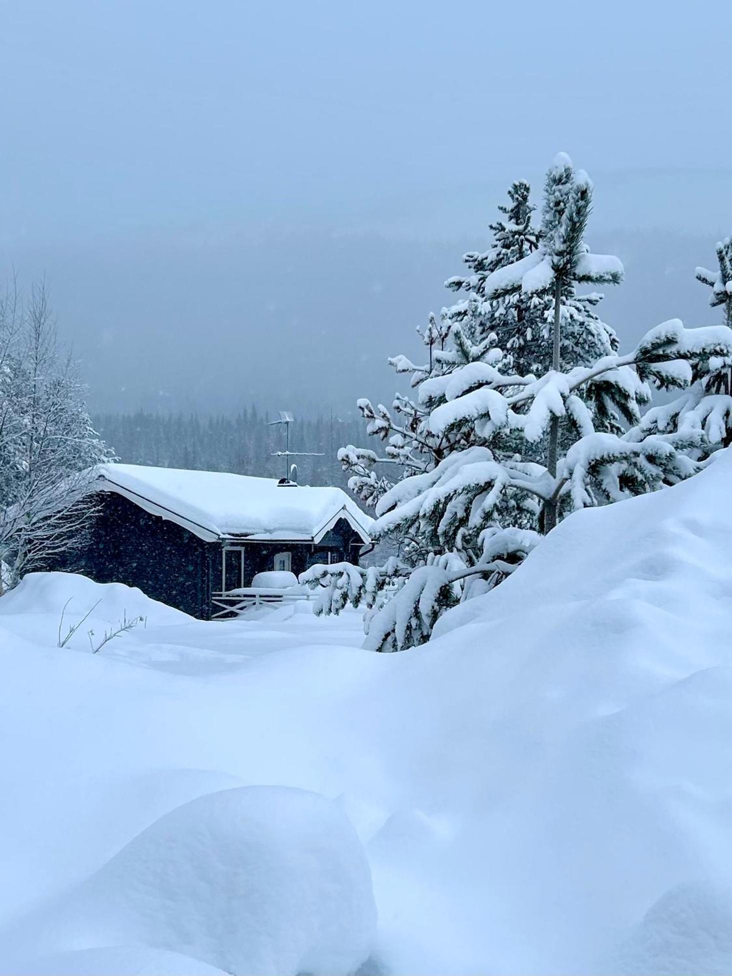 Nymon Mountain Lodge Stoten Exterior photo